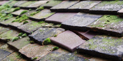 Blunham roof repair costs